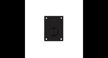 Intersteel Luikring rechthoekig 41x31mm - mat zwart