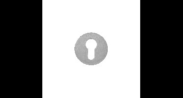 P&E P+E Rozet profielcilindergat rond ø55x2mm met M4 draadbussen rvs geborsteld