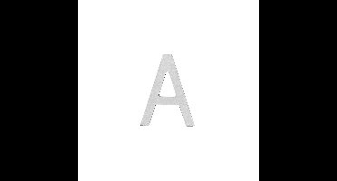 Intersteel Huisletter 100mm - RVS