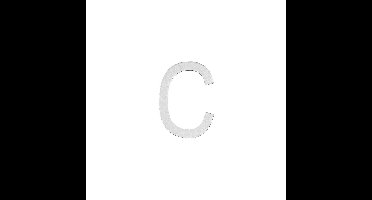 Intersteel Huisletter 100mm - RVS