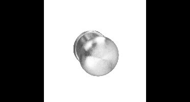 Intersteel Gatdeel knopkruk Paddenstoel op rozet met ring - RVS