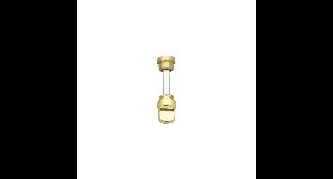 Intersteel WC-olive los met 8mm dikke stift - messing gelakt