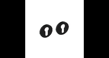 Intersteel Rozet met profielcilindergat ø51x5mm - mat zwart