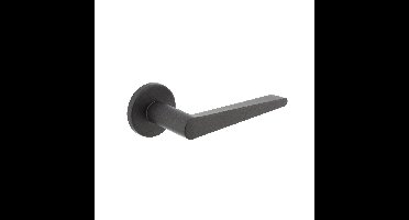 Intersteel Deurkruk Tiga op rozet ø51x5mm - grijs