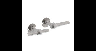 Intersteel Deurkruk L/T bol op rozet - RVS