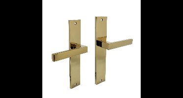 Intersteel Deurkruk Hera op schild blind - PVD messing