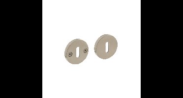 Intersteel sleutelrozetten Shiraat ø55x8 mm eenzijdig verdekt - RVS