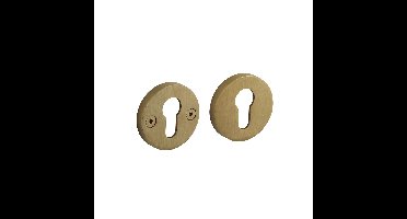 Intersteel cilinderrozetten Shiraat ø55x8 mm eenzijdig verdekt - messing mat titaan PVD