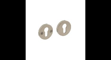 Intersteel cilinderrozetten Shiraat ø55x8 mm eenzijdig verdekt - RVS