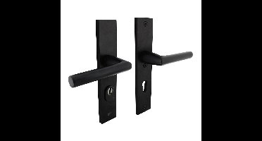 Intersteel Veiligheidsbeslag SKG3 achterdeur PC72mm met kerntrekbeveiliging - aluminium/zwart