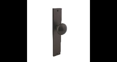 Intersteel knopschild 245x45mm blind - antraciet