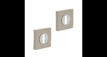 Intersteel sleutelrozetten vierkant verdekt 55x55x10mm - chroom/nikkel mat