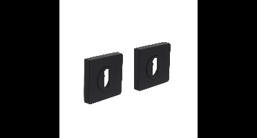Intersteel sleutelrozetten vierkant 55x55x10mm - mat zwart