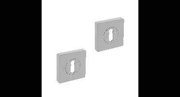 Intersteel sleutelrozetten vierkant 55x55x10mm - wit