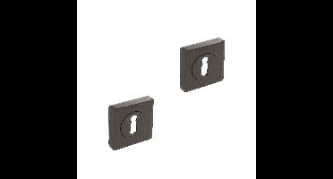Intersteel cilinderrozetten vierkant 55x55x10mm - antraciet