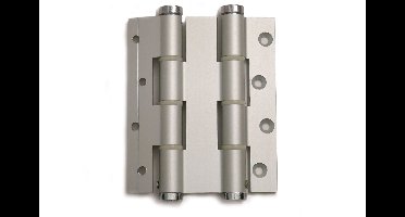 DX Deurveerscharnier dubbelwerkend 120/30mm - zilvergrijs