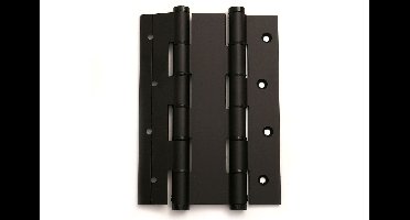 DX Deurveerscharnier dubbelwerkend 180/40mm - zwart