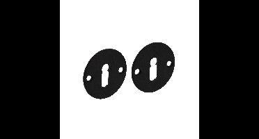 Intersteel rozetten met sleutelgat plat 50x2mm - RVS/mat zwart