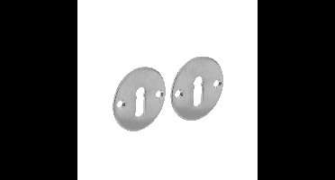 Intersteel rozetten met sleutelgat plat 50x2mm - RVS