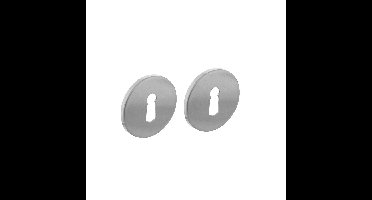 Intersteel rozetten met sleutelgat plat verdekt 53x5mm - RVS