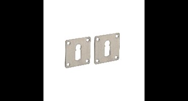 Intersteel rozetten vierkant met sleutelgat 42x42x2mm - RVS