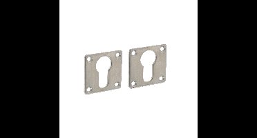 Intersteel rozetten vierkant met profielcilindergat 42x42x2mm - RVS