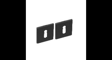 Intersteel rozetten vierkant met sleutelgat plat verdekt 50x5mm - RVS/mat zwart