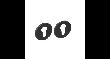 Intersteel rozetten met profielcilindergat plat verdekt 53x5mm - RVS/mat zwart