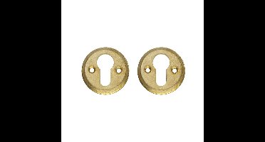 Intersteel rozetten met profielcilindergat schroefgat 50x5mm - messing getrommeld