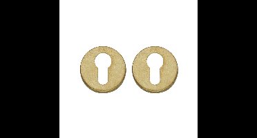 Intersteel rozetten met profielcilindergat verdekt 49x7mm - messing getrommeld