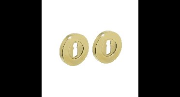 Intersteel rozetten met sleutelgat verdekt 50x8mm - messing gelakt