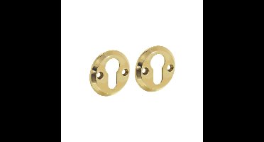 Intersteel rozetten met profielcilindergat schroefgat 50x5mm - messing gelakt