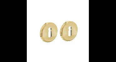 Intersteel rozetten met sleutelgat verdekt 49x7mm - messing gelakt