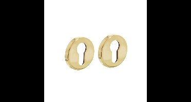 Intersteel rozetten met profielcilindergat verdekt 49x7mm - messing gelakt