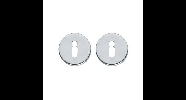 Intersteel rozetten met sleutelgat verdekt 49x7mm - chroom mat