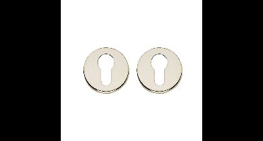 Intersteel rozetten met profielcilindergat verdekt 49x7mm - nikkel glans