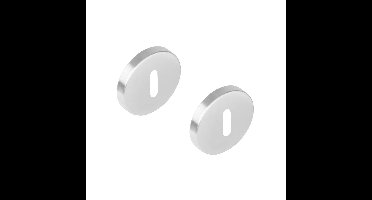 Intersteel rozetten met sleutelgat verdekt 51x10mm ATP - RVS