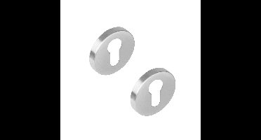 Intersteel rozetten met profielcilindergat verdekt 51x10mm ATP - RVS