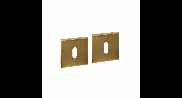 Intersteel sleutelrozetten vierkant verdekt 53x53x6mm - PVD messing mat