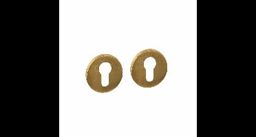 Intersteel cilinderrozetten verdekt ø52x6mm - PVD messing mat