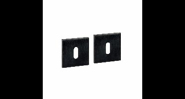 Intersteel sleutelrozetten vierkant verdekt 53x53x6mm - PVD zwart
