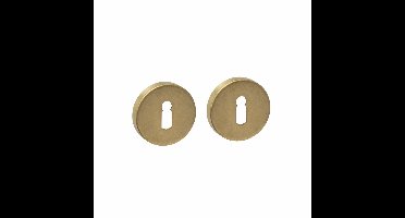 Intersteel sleutelrozetten verdekt ø53x9mm - PVD messing getrommeld