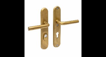 Intersteel SKG3 veiligheidsbeslag achterdeur ovaal 250x50mm kruk/kruk Luzern PC72 kerntrekbeveiliging - PVD messing getrommeld