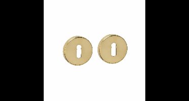 Intersteel sleutelrozetten verdekt ø53x9mm - PVD messingkleur