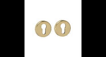 Intersteel cilinderrozetten verdekt ø53x9mm - PVD messingkleur