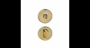 Intersteel WC-sluiting verdekt ø53x10mm met stift 8x8mm - PVD messingkleur