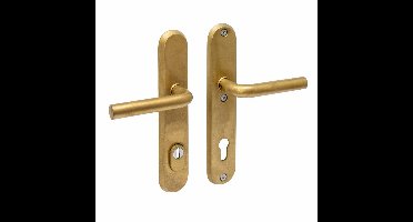 Intersteel SKG3 veiligheidsbeslag achterdeur ovaal 250x50mm kruk/kruk Luzern PC92 kerntrekbeveiliging - PVD messing getrommeld