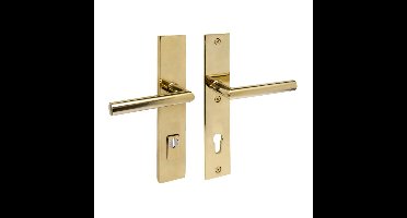 Intersteel SKG3 veiligheidsbeslag achterdeur rechthoek 250x50mm kruk/kruk Jura PC92 kerntrekbeveiliging - PVD messingkleur