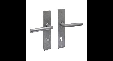 Intersteel SKG3 veiligheidsbeslag achterdeur rechthoek 250x50mm kruk/kruk Jura PC92 kerntrekbeveiliging - PVD RVS getrommeld