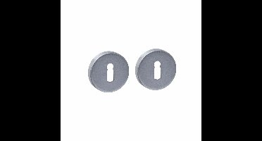 Intersteel sleutelrozetten verdekt ø53x9mm - PVD RVS getrommeld